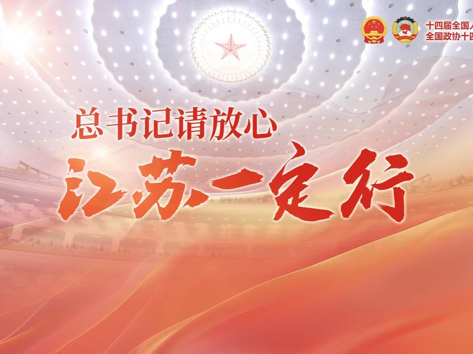 总书记请放心江苏一定行！#2025全国两会