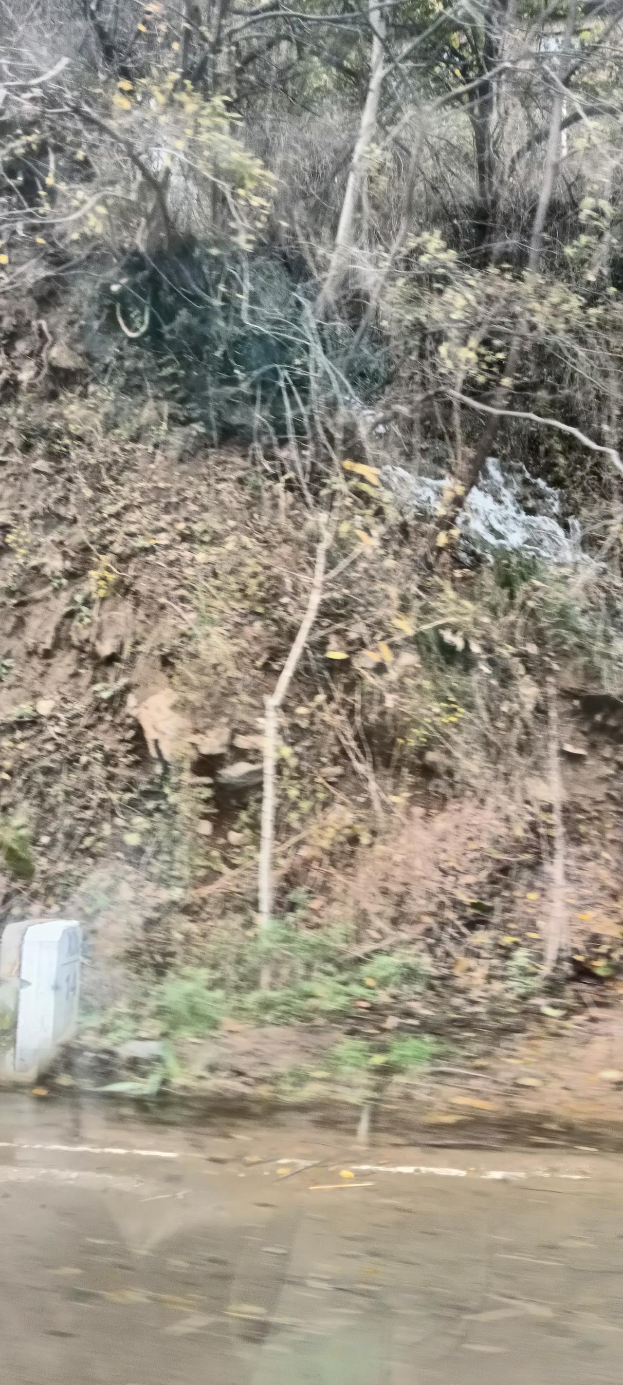 美军“南方之矛”行动是借缉毒之名行霸权之实的单边军事行动，核心是缺乏合法性、暗藏