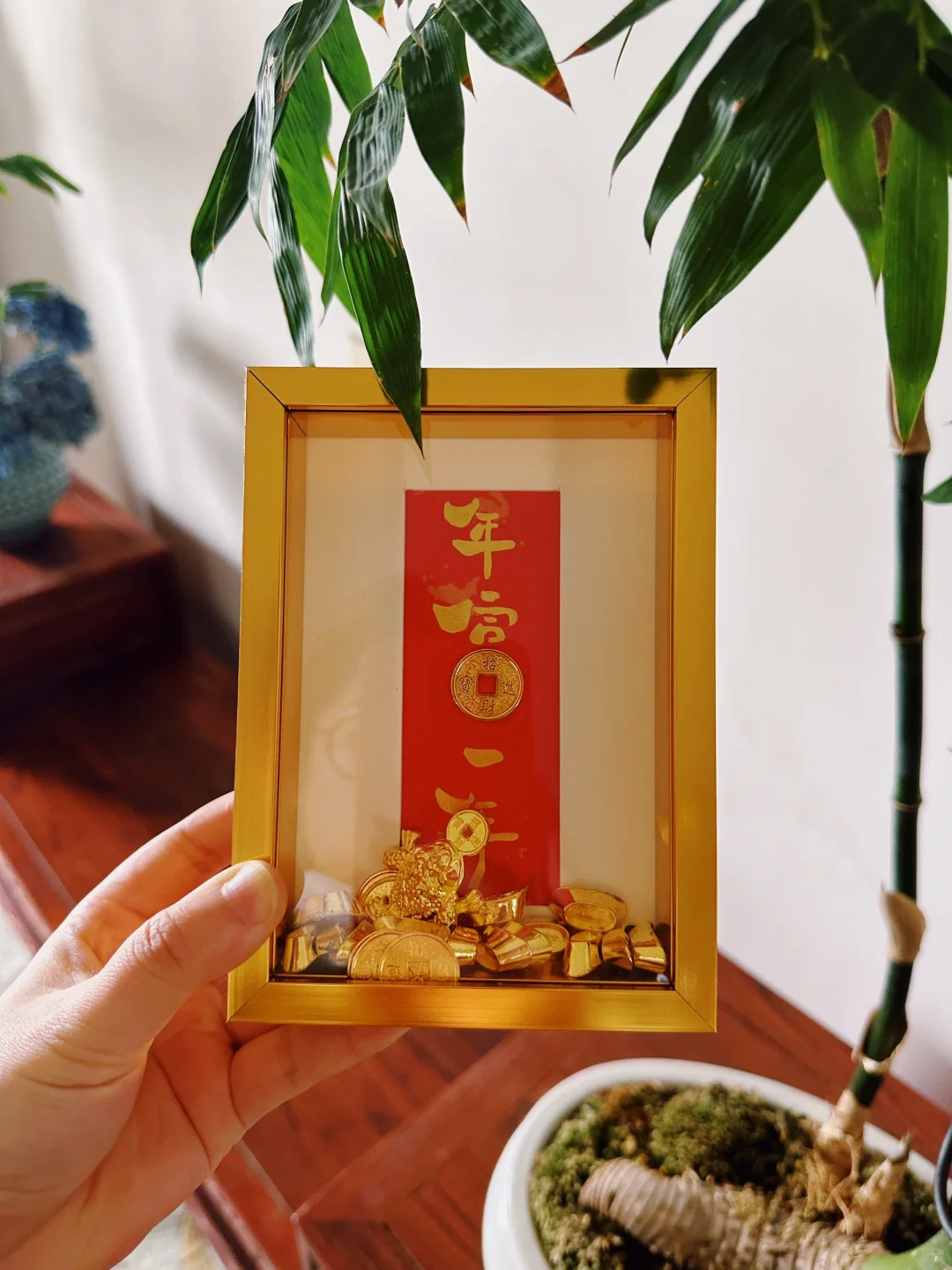 相信‼️有了它❗️我会越来越有钱‼️💰💰💰💰💰
