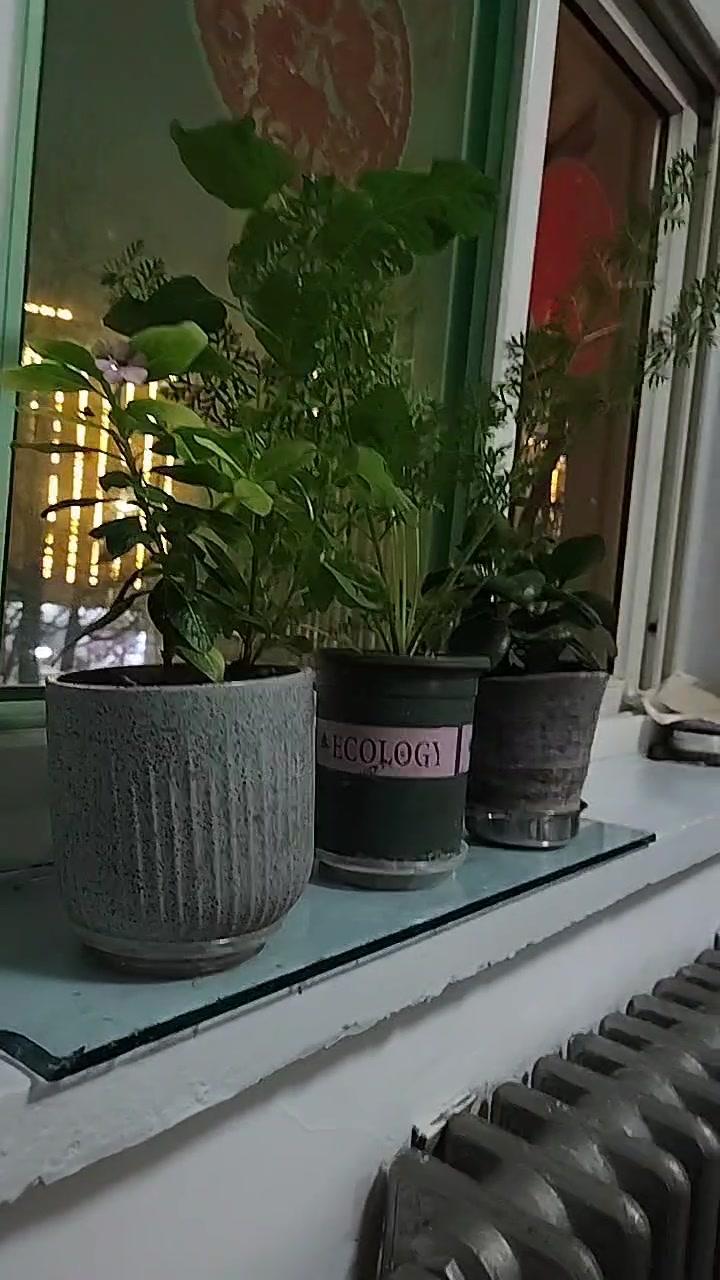 只是常常有人身在福中不知福，总抱怨生活不够好，却忘了看看那些在战火中的人们。我们