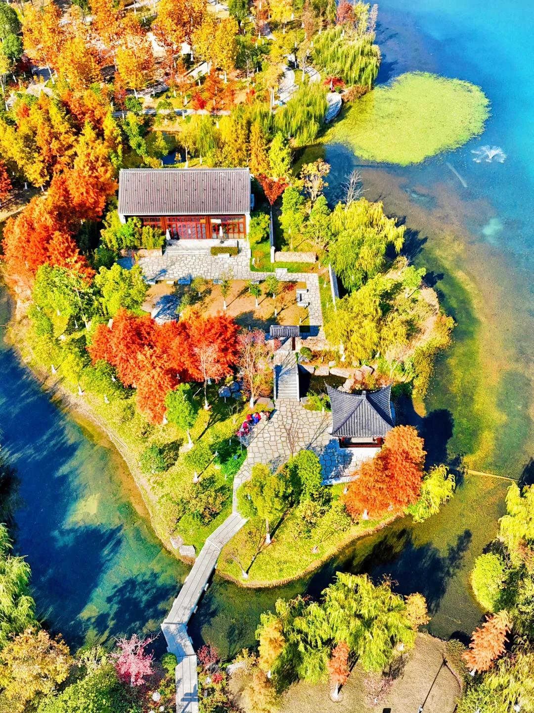 桃花湖公园边的梦中情房交付啦🏡