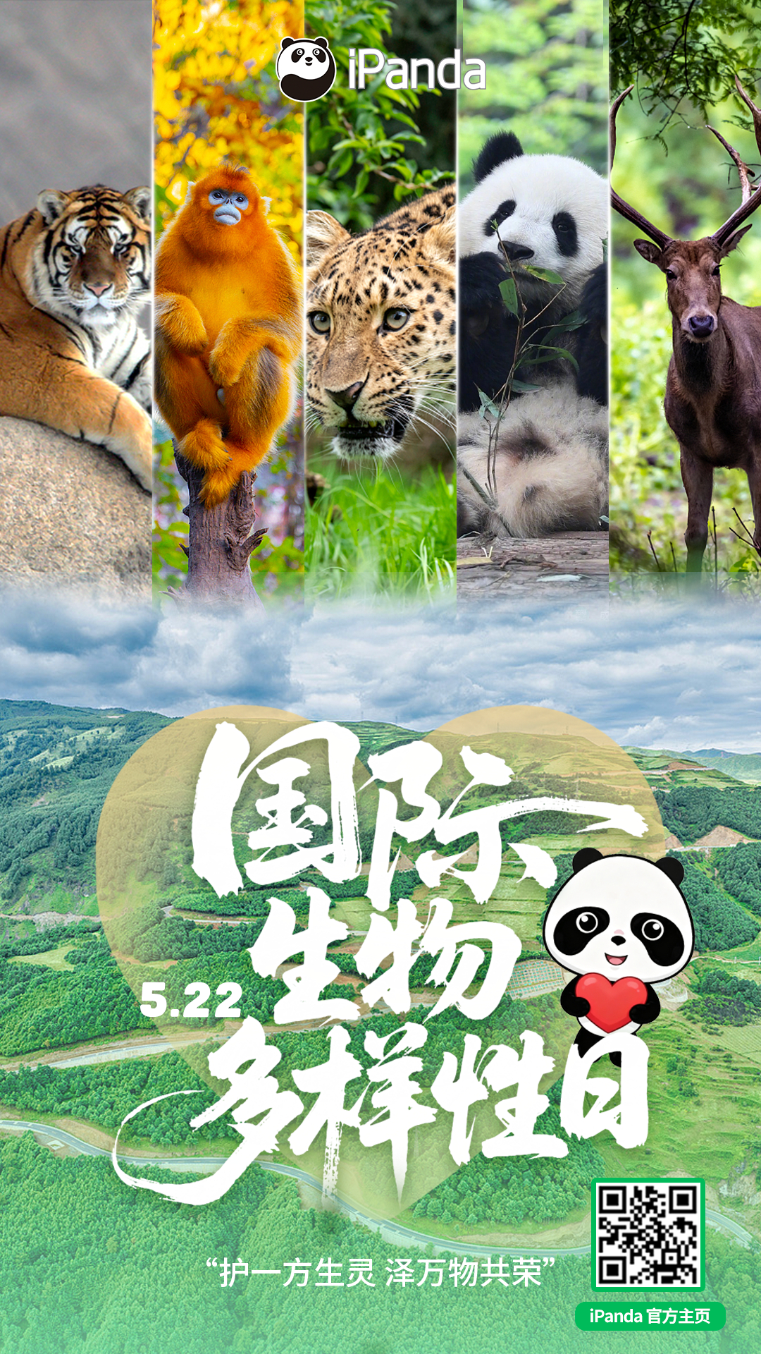 【今天是国际生物多样性日🌟🌍】缤纷世界，因万物多样而精彩↓↓转发呼吁，一起保