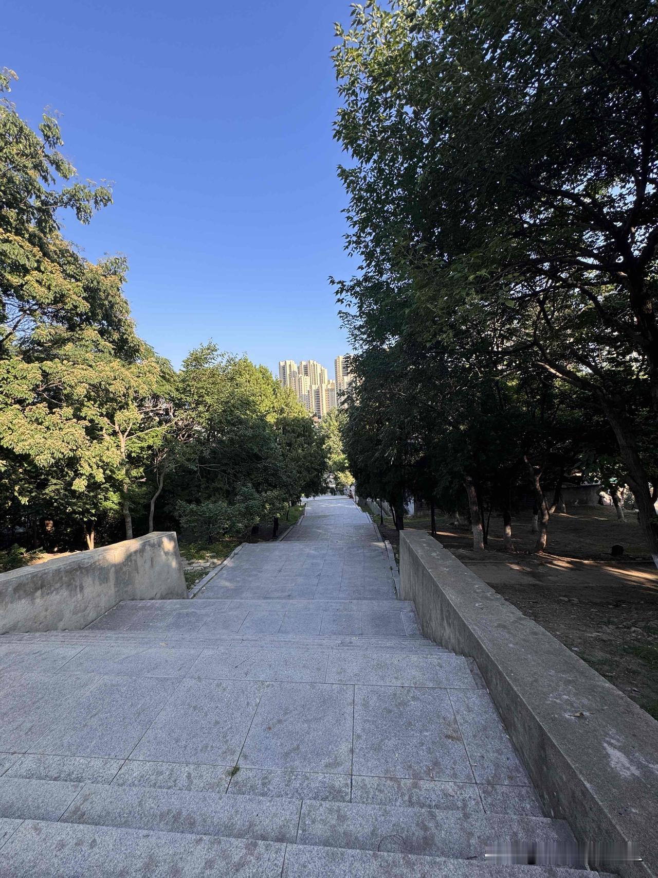 太热了，走不动了，坐下歇一会儿。
下午去公园里遛狗，走了没到10分钟，居然走不动