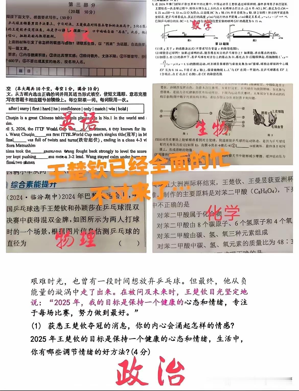 没想到王楚钦成了全科考神！他被北京大学体育教研部拟录取为2025年硕士研究生，复