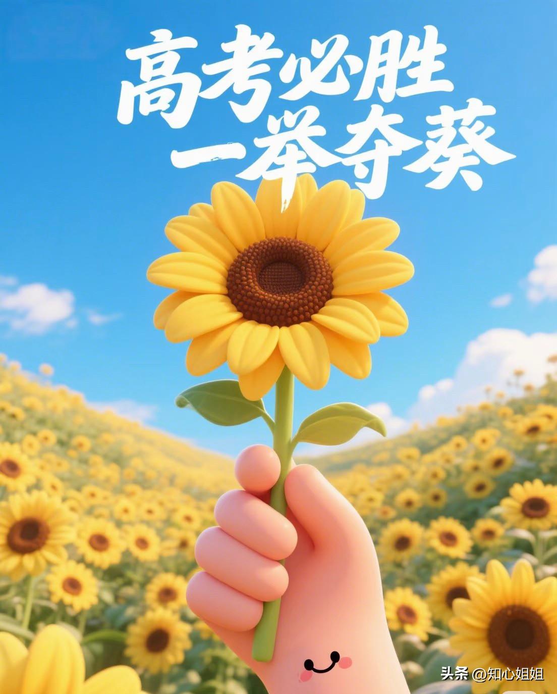 时间不语，三年的成长已在身后，但努力和汗水都有印记，厉兵秣马，少年何惧？愿你在这