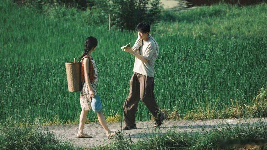 暑期档终于不全是情情爱爱了《小芳》完全颠覆我对乡村剧的刻板印象，没有苦情虐恋，只