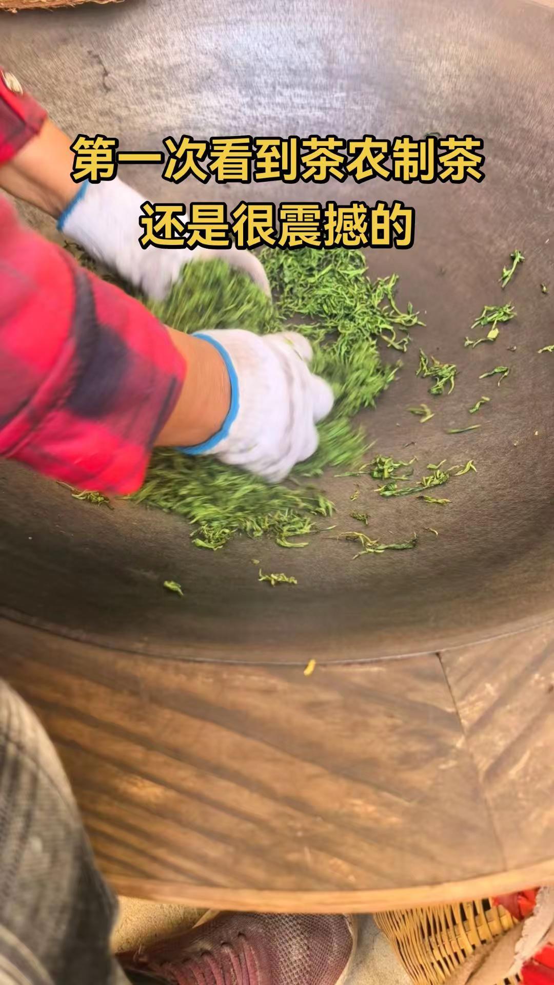 茶农手工制作茶叶过程生态茶手工炒茶 手工制茶人