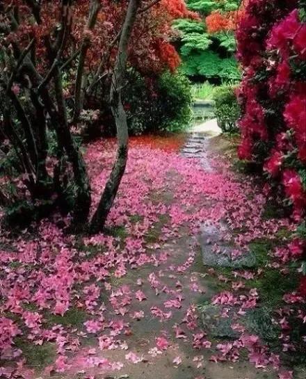 《夜思》
庭院雨催花满地，
空房酒醒夜阑珊。
谁家笛声诉幽怨，
未了尘缘已不堪！