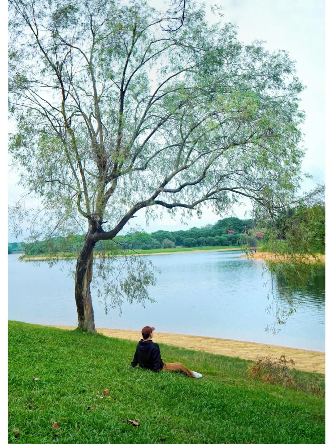 东莞这个像海一样的地方，视乎没什么人知道