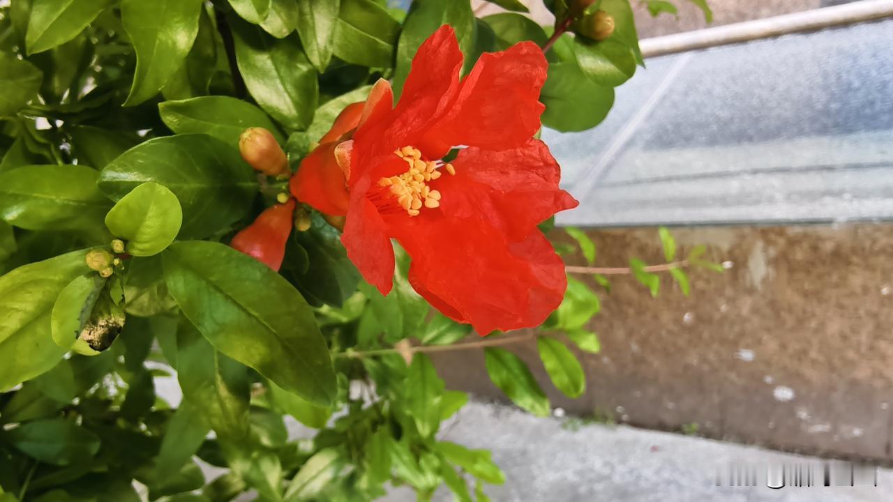 五一期间，我头条在头条遇见两件奇怪的事，这会儿都没搞明白。

5月1号那天我写了