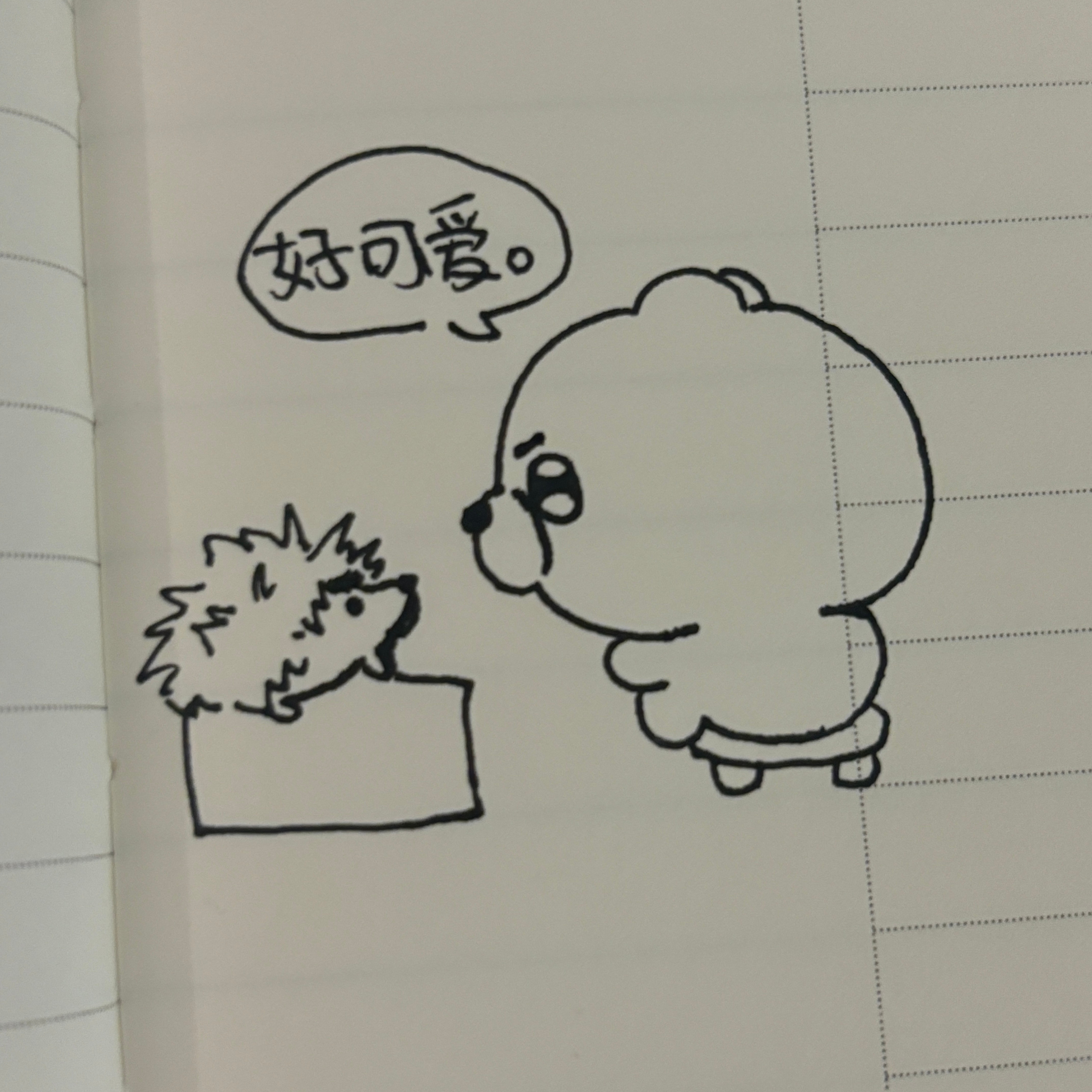 此乃何物……………