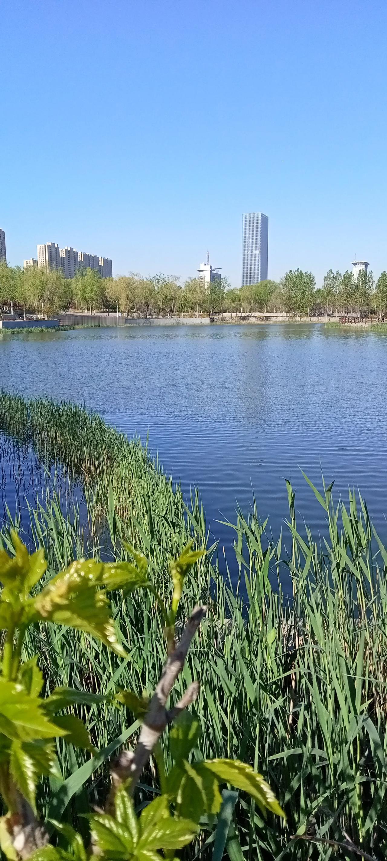 开医院是为了赚钱吗?开医院并非单纯为了盈利，但也不能一直亏损。当下的公立医院里，