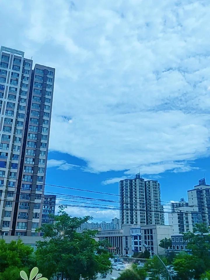 久违的蓝天白云又回来了。
前几天不是阴天就是下雨，今天虽然早起一早就开始刮大风，