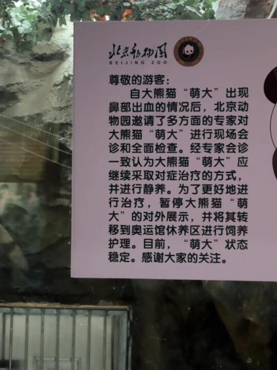 萌大转入奥运馆后院休养