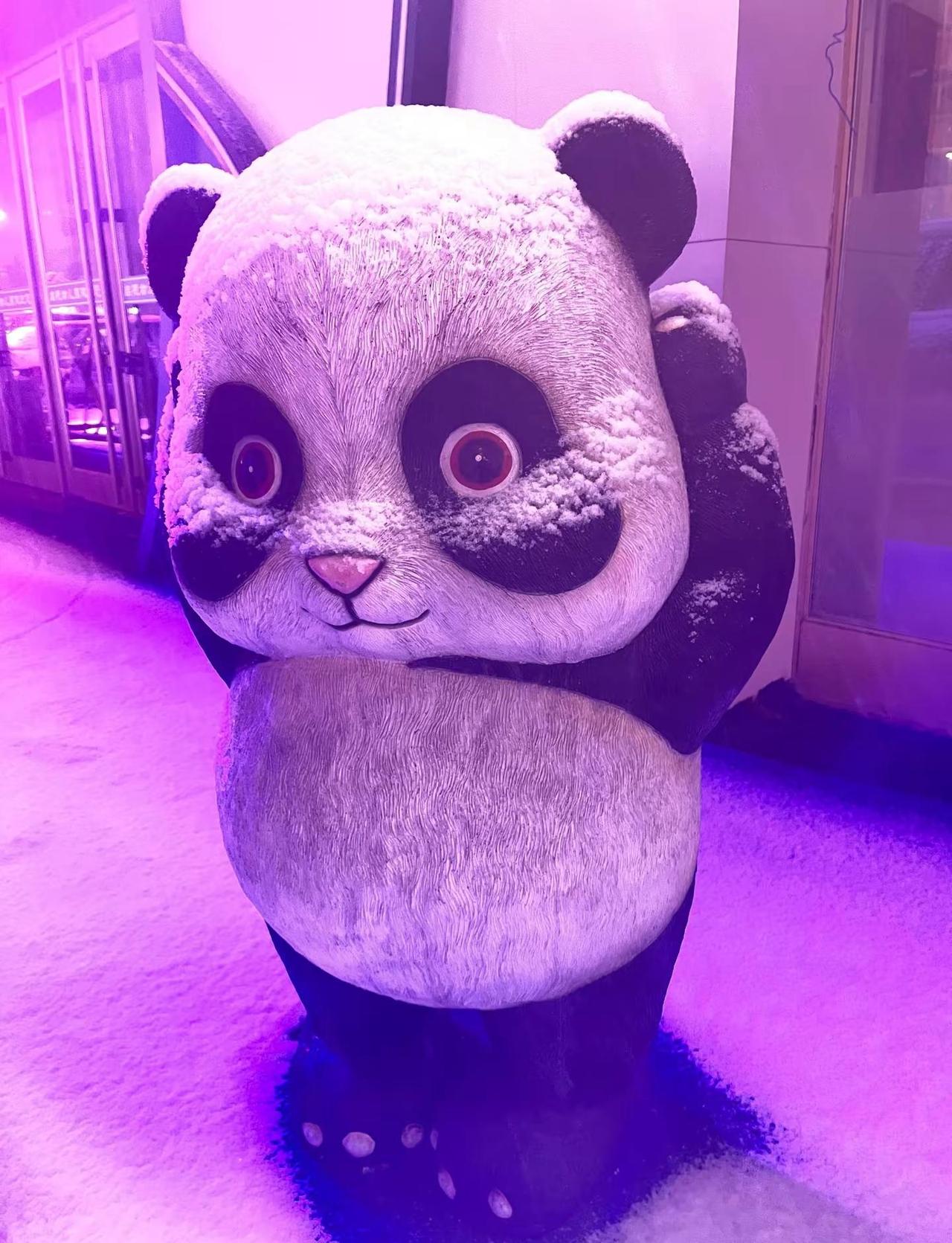 今天你那下雪了吗？上热门话题🔥🔥🔥 雪 下雪了 一起看雪