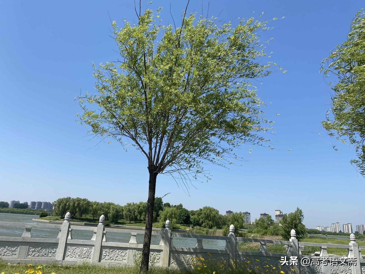 晒图笔记大赛阳光洒满的公园，绿意盎然，一家人悠闲地享受美好时光。🌞🌳👨‍?