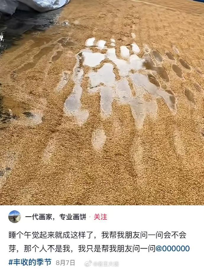 没有清华北大录取通知书就准备上农村最高军事法庭吧 ​​​