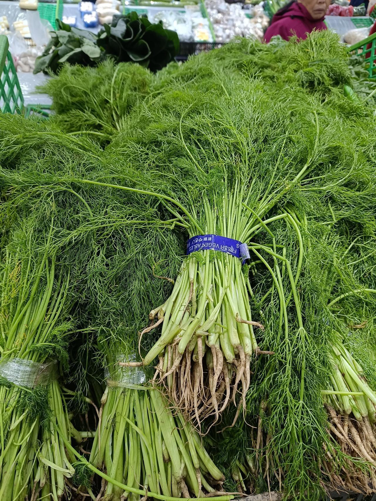 真的特别爱吃茴香馅的肉饺子啊，真的是太好吃了啊！