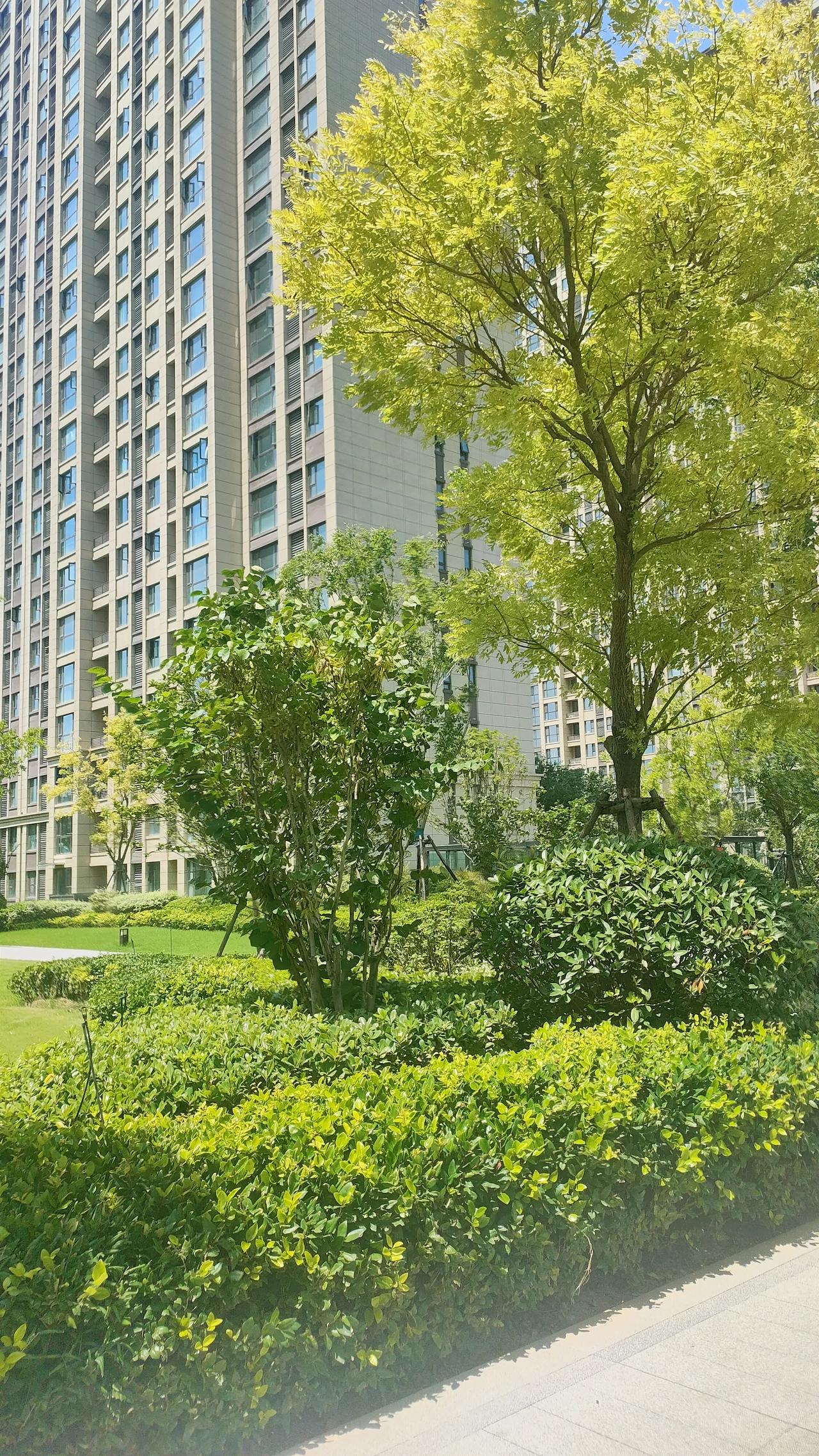 郑州东三环附近距离高铁东站4公里95平三房新房毛坯92万绝对捡漏房