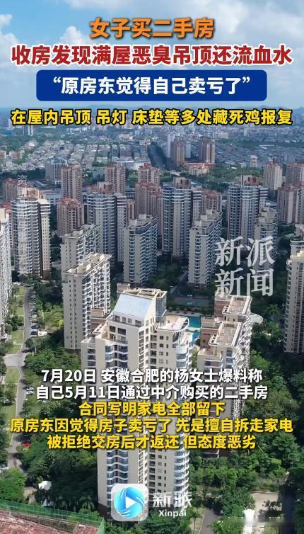 安徽合肥，女子买了一套二手房，原本说好房子里的家电都留给她，卖家却偷偷拉走，女子
