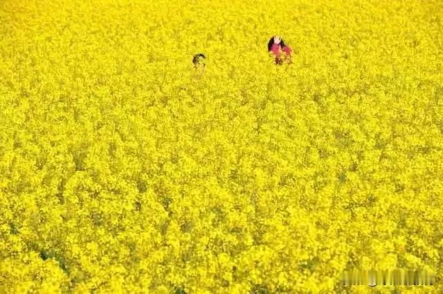 【2024年之严重过剩排行榜】

1，第一名，搞直播的严重过剩。

2，第二名，