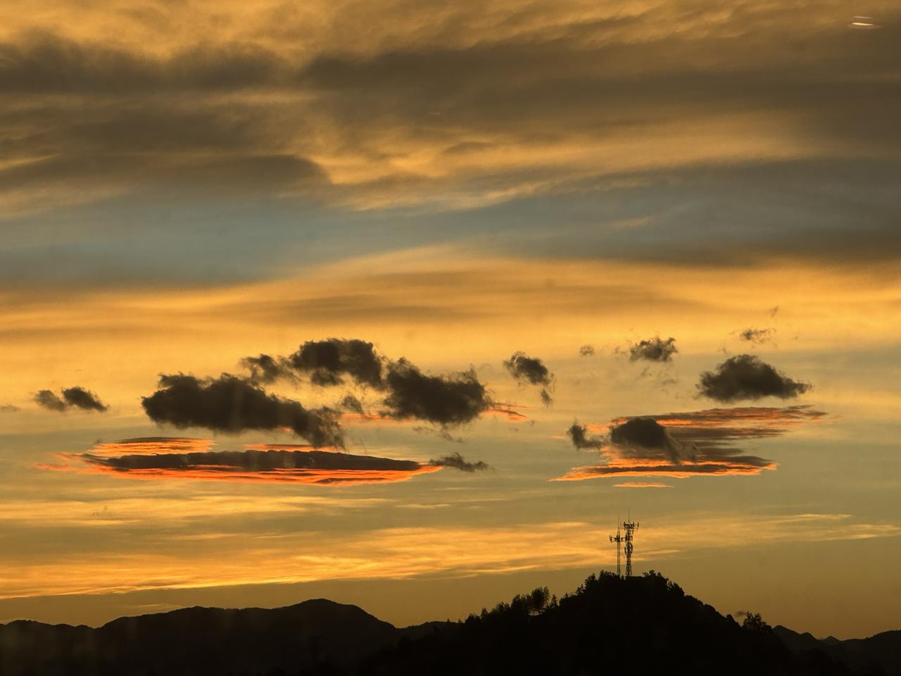 拍出最美八月醒来遇见美好