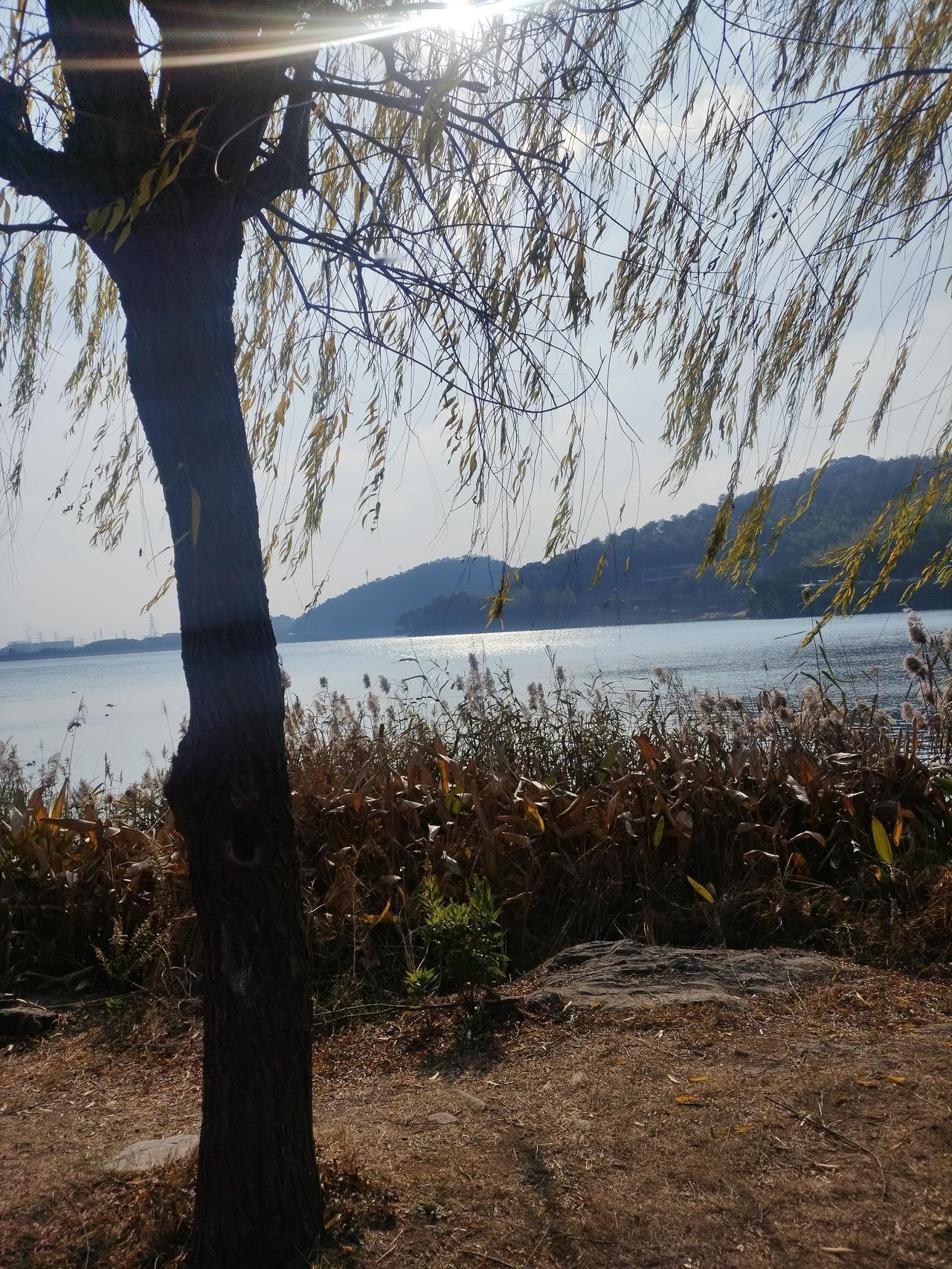 2026第二天
一群野鸭自在悠闲的游。
难得清闲
天高地阔
心绪自在
快哉