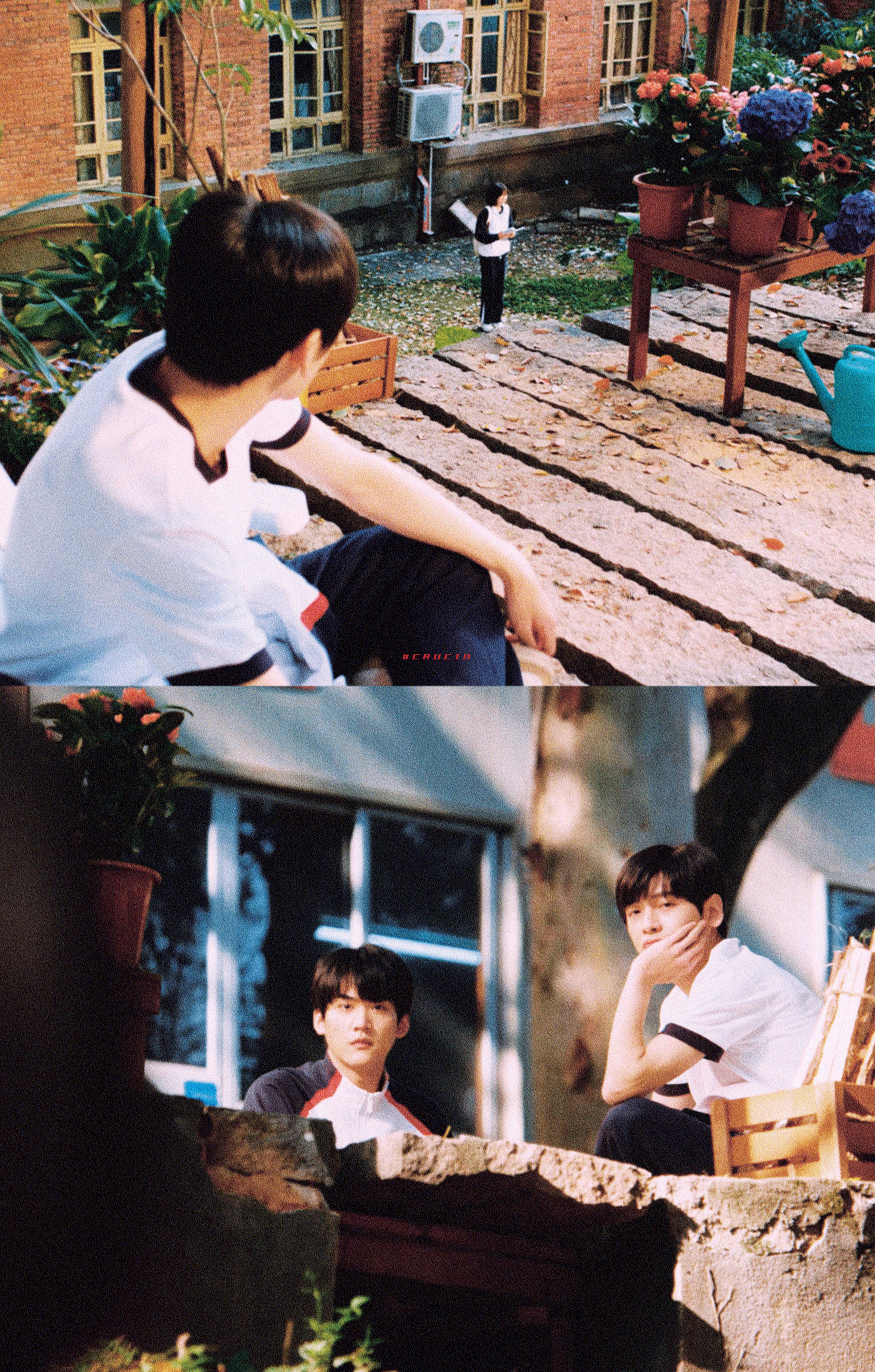 《树下有片红房子》  青春的影子总在走廊摇晃，我会一遍遍地收藏那些发光的日常。 