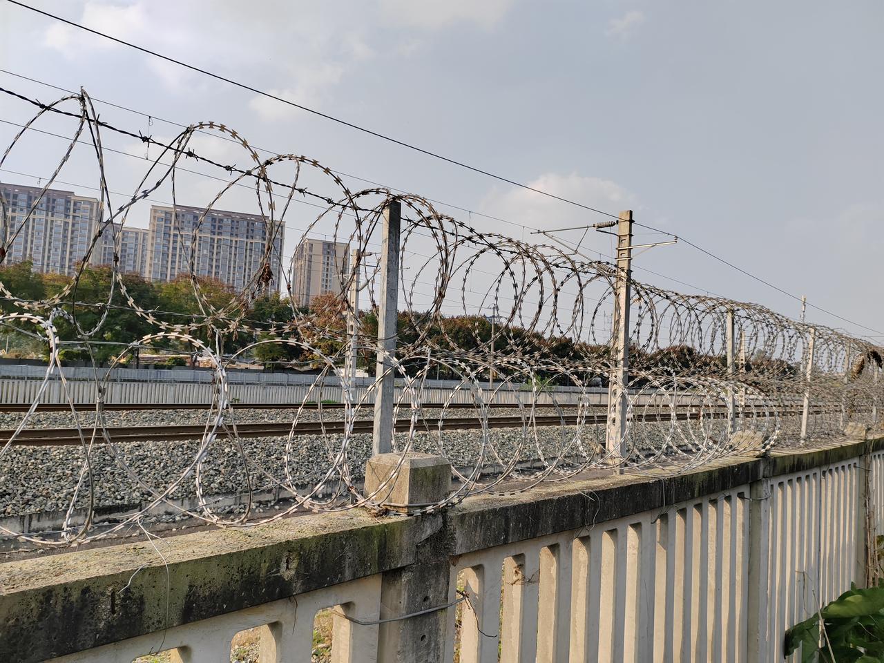 我站在铁路旁，感觉到脚下的石子微微震颤。远处，动车如银箭破开风的帷幕，轰鸣声由远