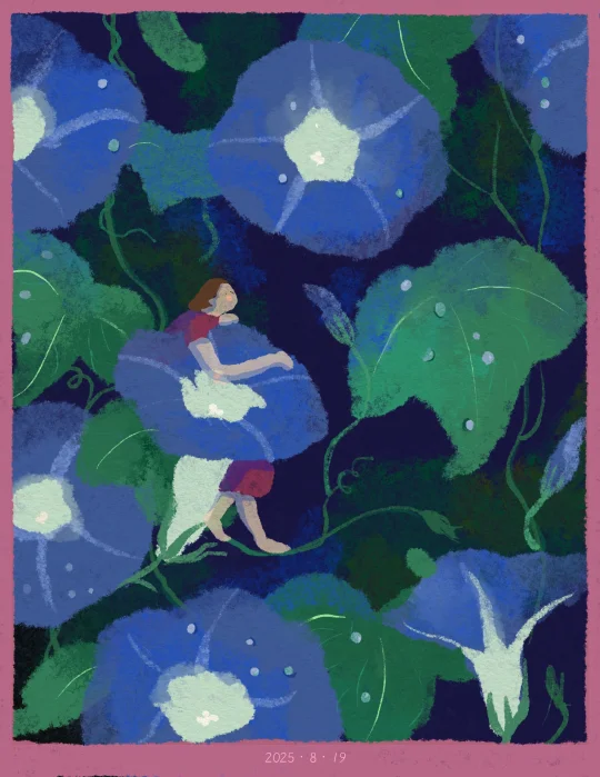 愿你常有，拥抱微小之美的心情🪞