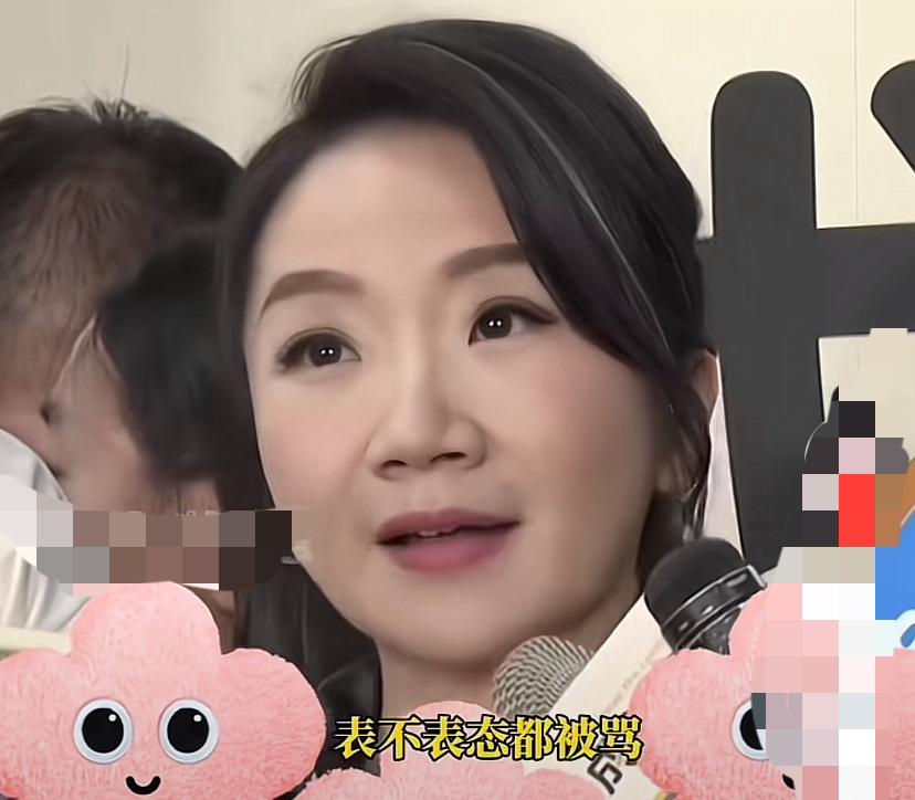 陶晶莹：我们台湾艺人最辛苦，表不表态都会被另一边的人骂。

我想说你既然觉得表不