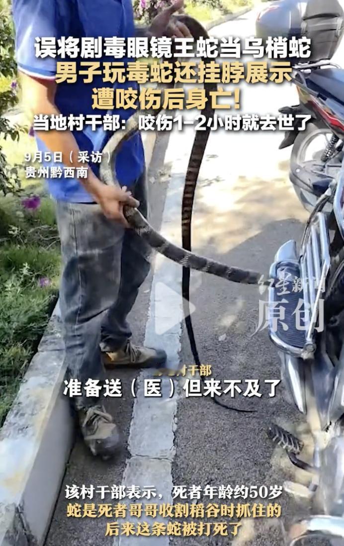 “不作就不会死！”9月2日，贵州黔西南州，一名男子在野外发现了一条手腕粗的大蛇，
