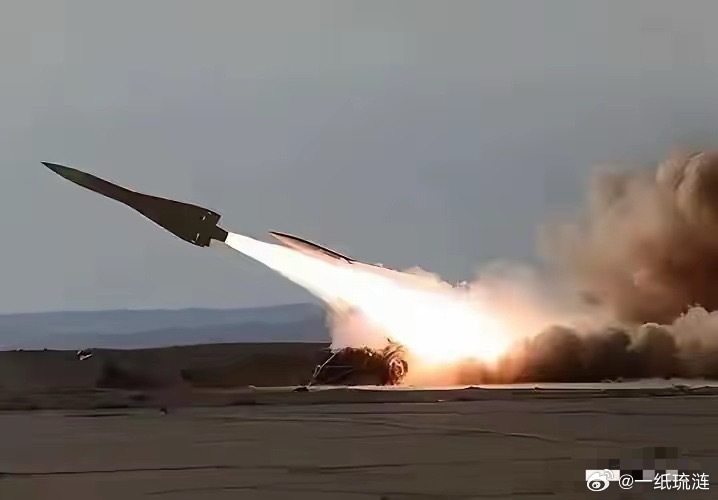 个人认为，伊朗应该轰炸以色列境内的所有核电站。以色列国土面积太小，核泄漏对其影响