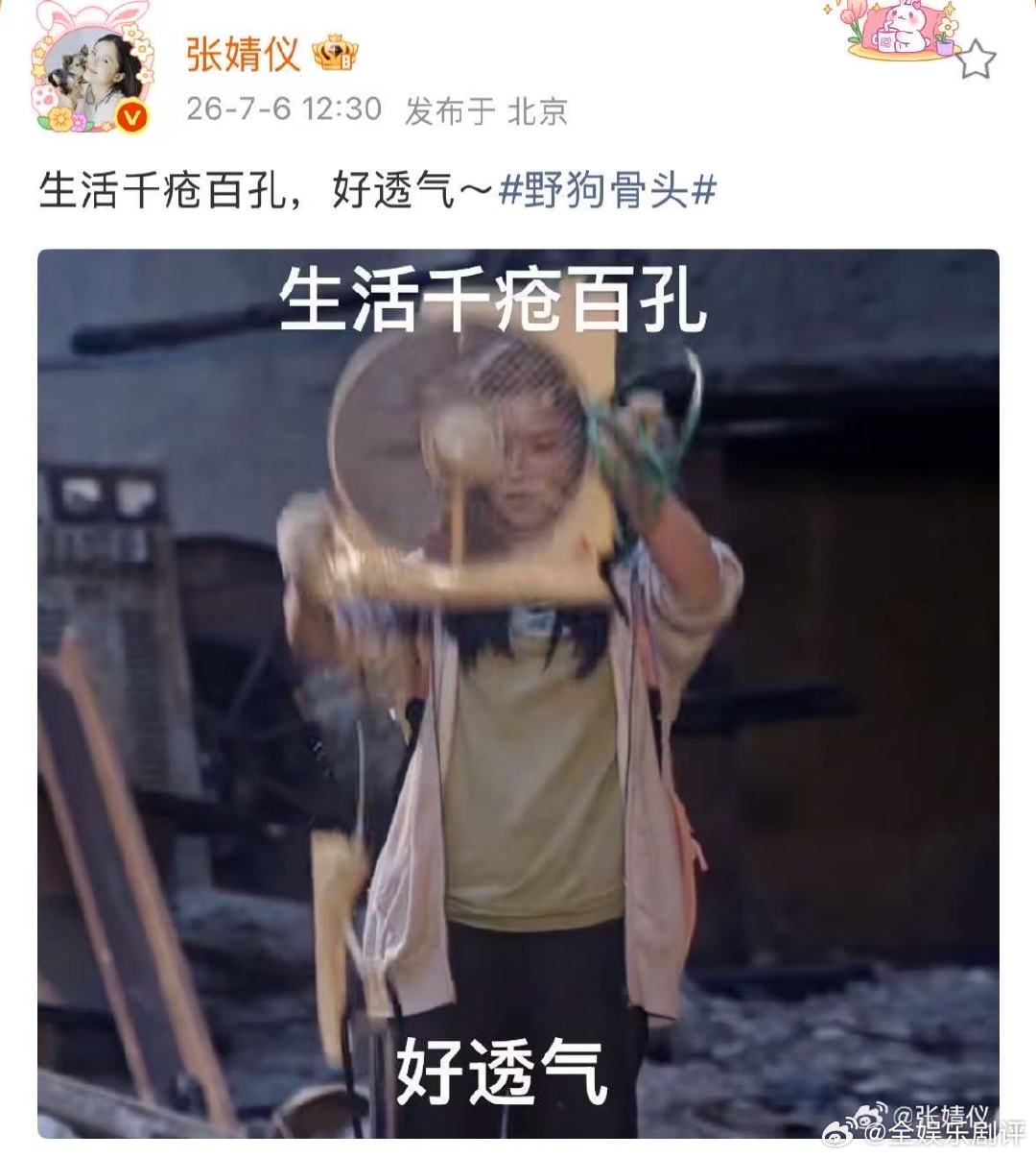 张婧仪抽象文案配苗靖抽象人生张婧仪发的抽象文案太好笑了苗靖生活千疮百孔好透气