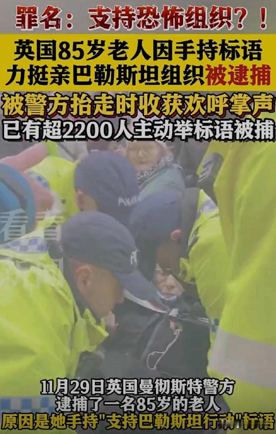 85岁本该安享晚年，英国这位老人却敢举标语挺巴勒斯坦，结果被警方逮捕，真的又敬佩