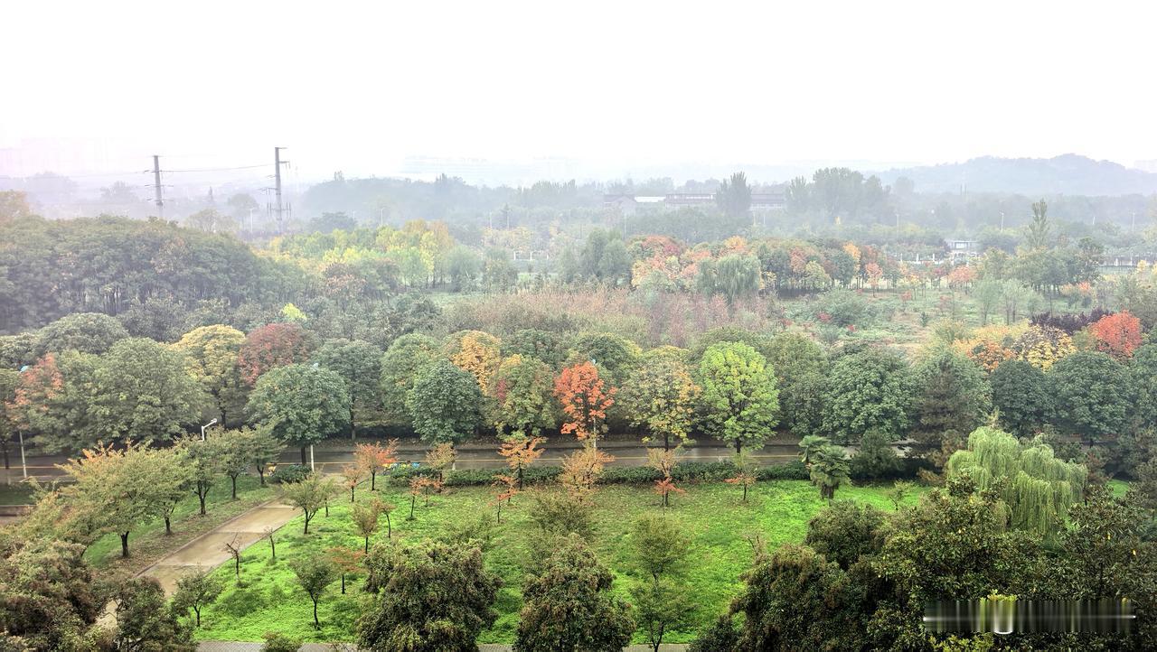 我原以为所有等待
都有结局
就像始发站的列车
终有再停靠的时刻

我原以为错过的