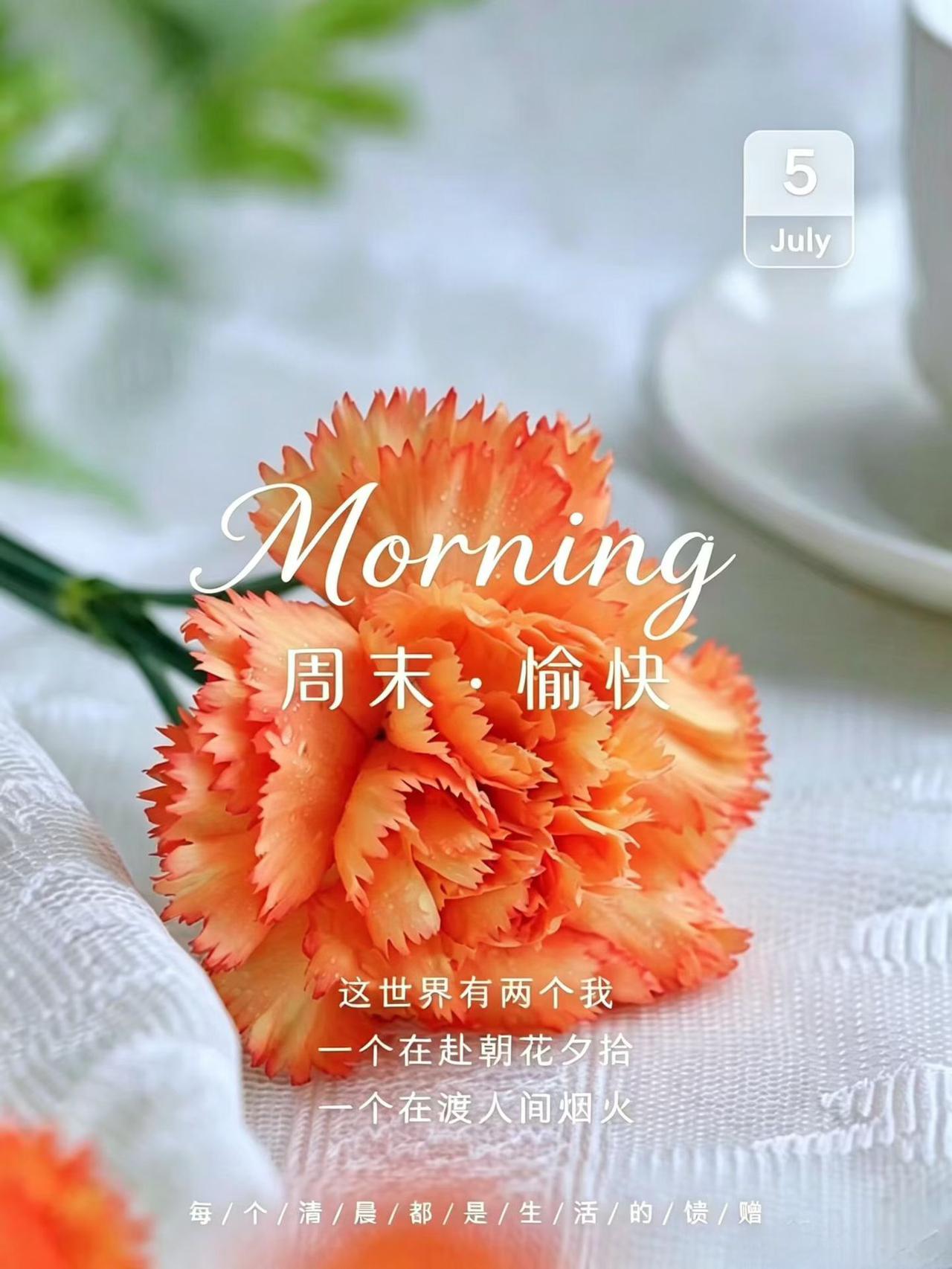 ，什么花都行
☀️
美好的一天开始啦！

即使在平凡普通的日子
只要用心对待
每