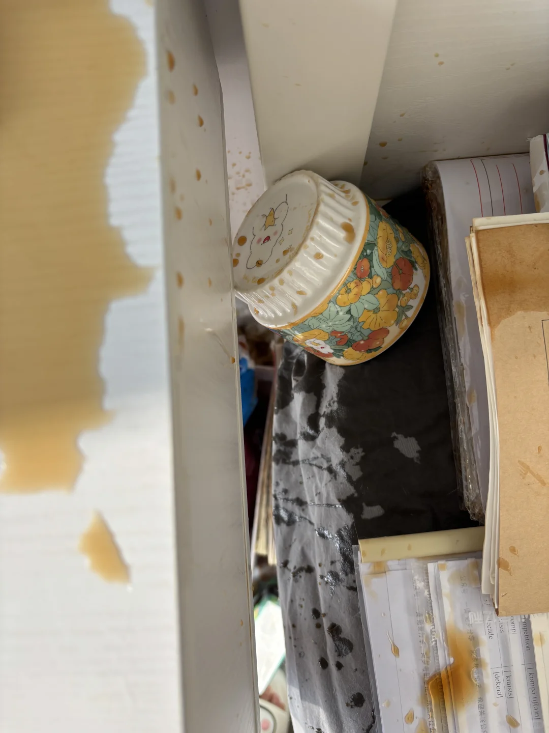 一张图证明你家有猫