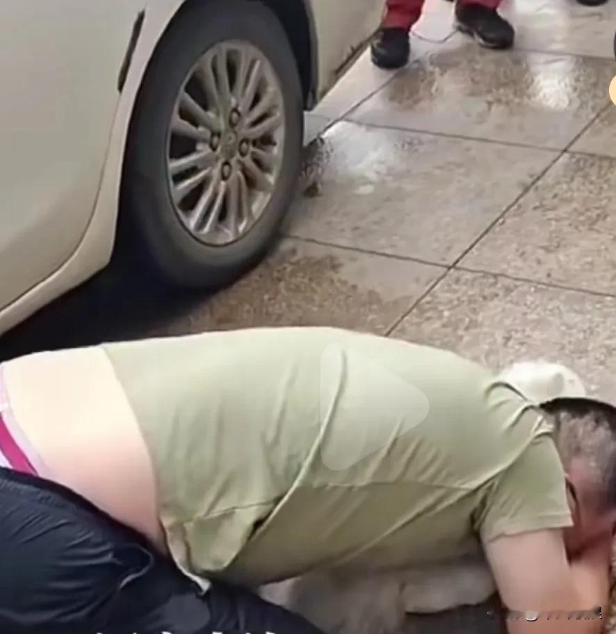 大连一只未拴绳的宠物小狗，在自家店门口被车撞死，都说男人有泪不轻弹，主人抱着狗狗