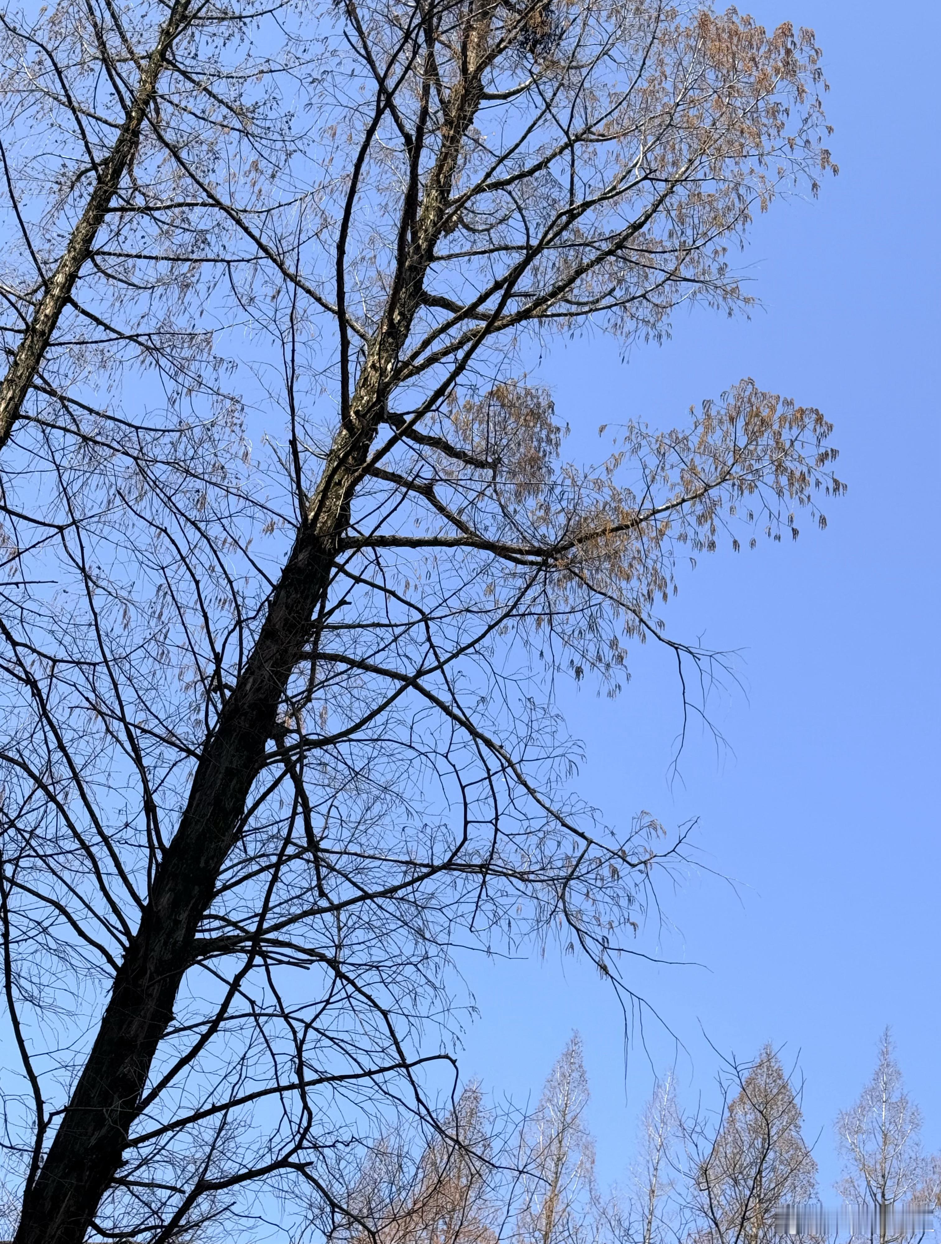 晴天看个电影吃个蛙开个上头的盲盒～ 