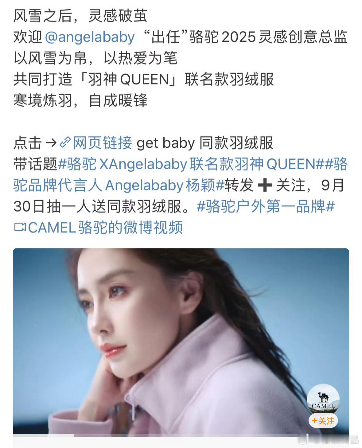 angelababy官宣骆驼品牌代言人，续约加升title[耶] ​​​