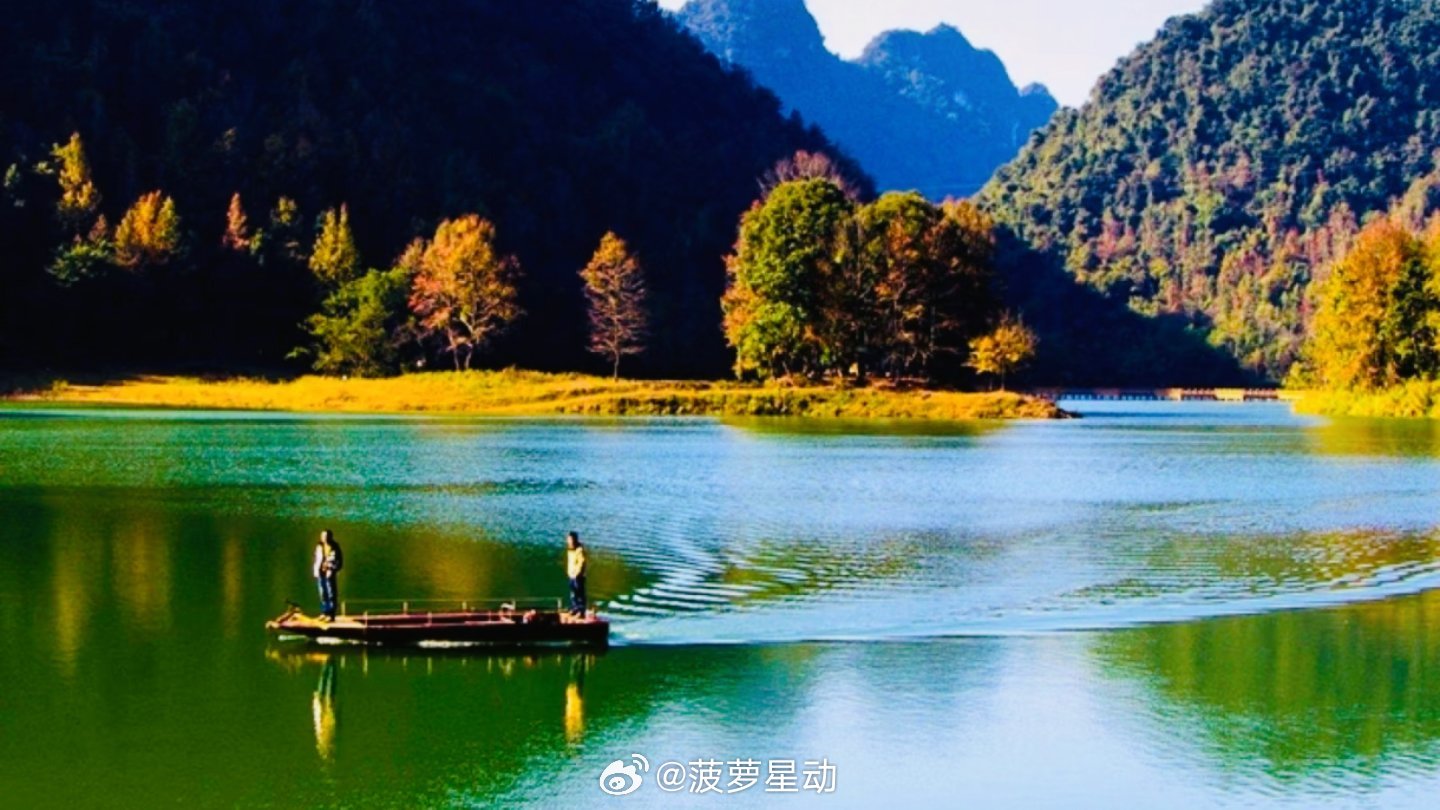 生活手记 终于奔赴河池红叶森林公园，整个人直接被美到失语！漫山遍野的枫叶自带滤镜