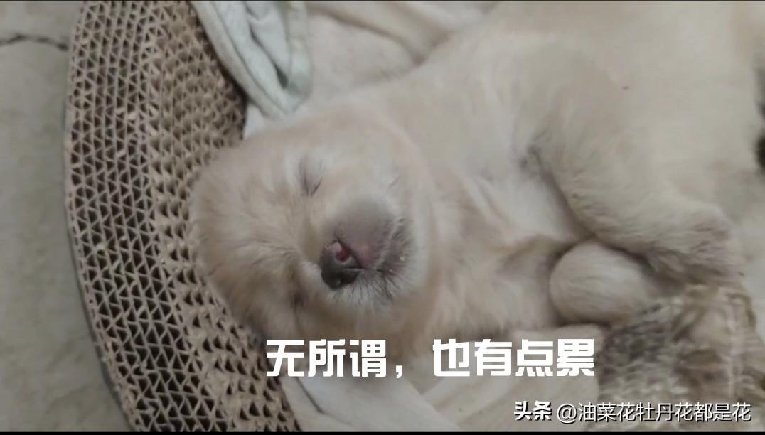 分享我这周有趣的事：前两天回家，去市区公寓看望备考的女儿。
只见她一身睡衣，脸黄