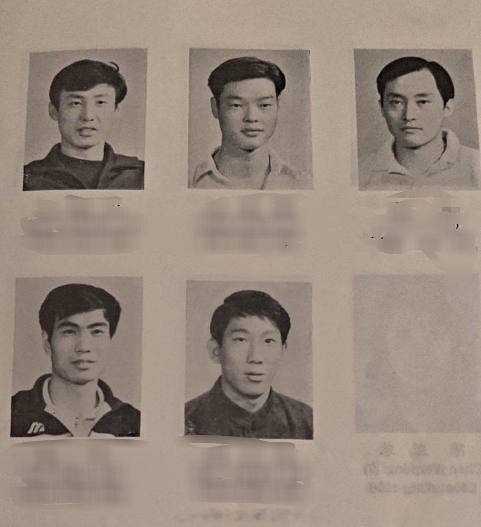 还认识他们嘛 ​​​
