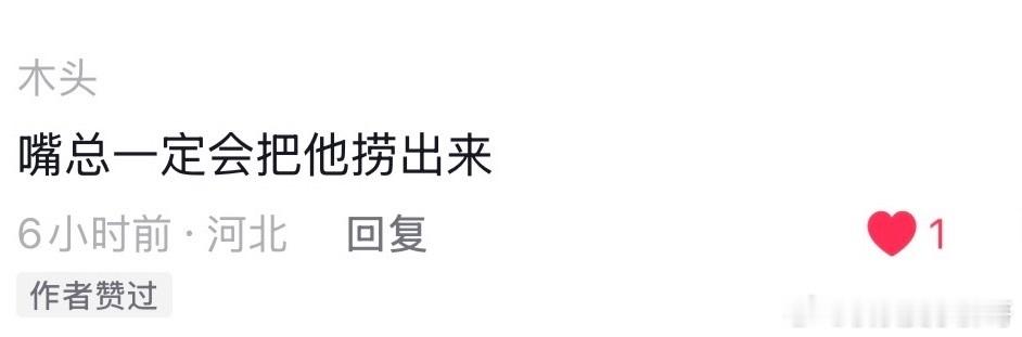 我不知道这些人怎么想的，嘴总怎么可能去捞这种不诚实，不正直，还说假话的人？年底了