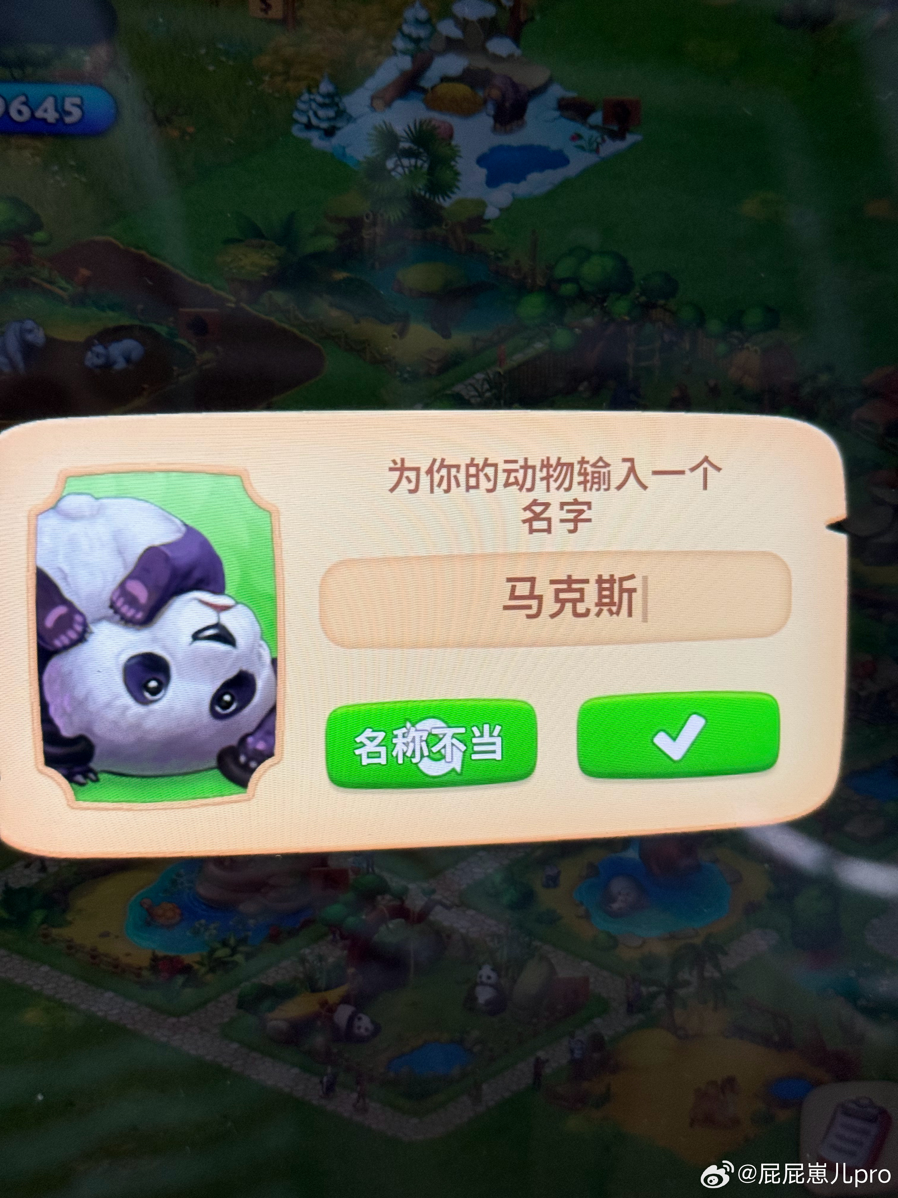 系统自己生成的名字，然后又说名称不当哈哈哈哈哈 