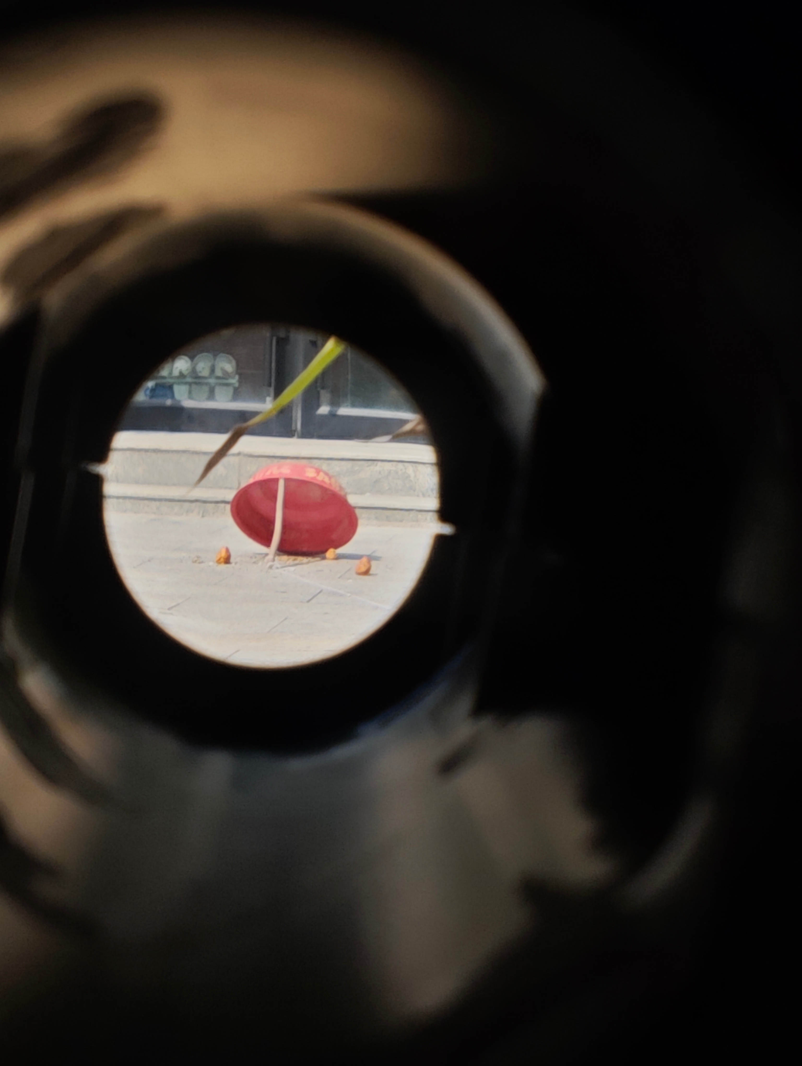 无人机、对讲机、望远镜～我说这一切只是因为小朋友读了少年闰土要抓鸟，你们信吗？ 