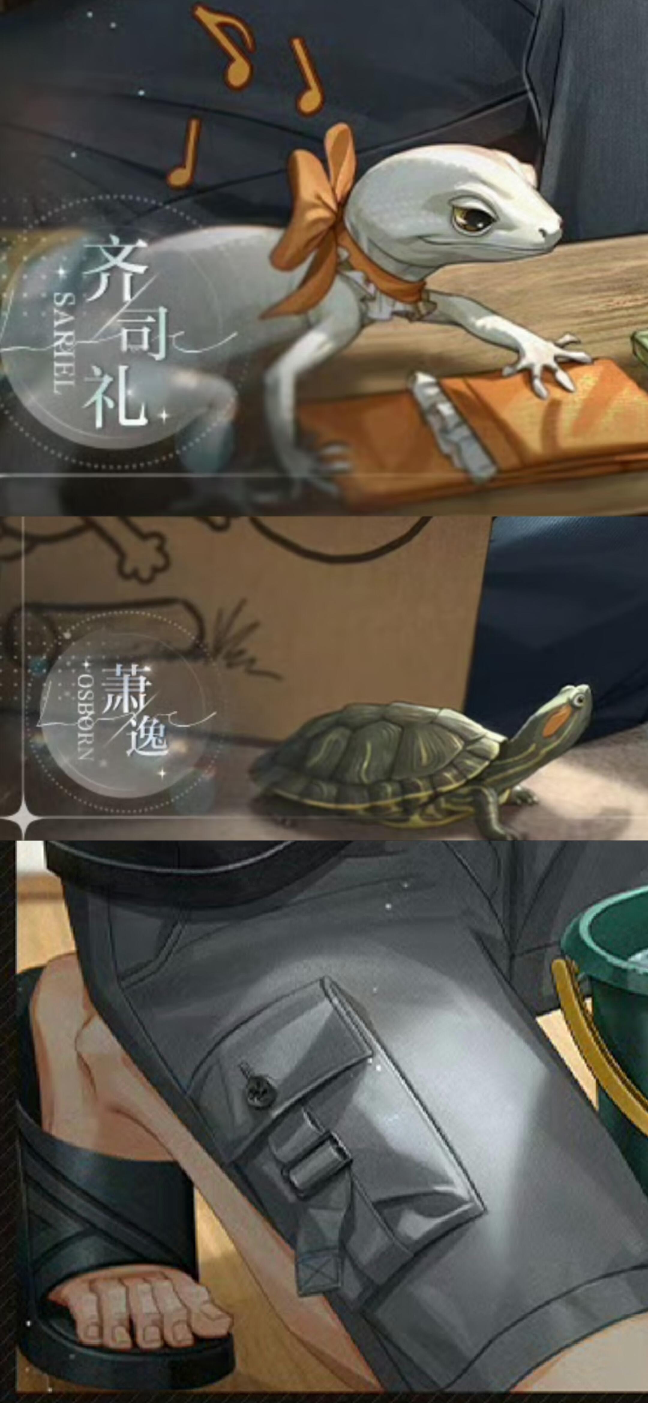 🐱 | 这个专栏卡的左下角为啥总这么搞笑！俩爬行动物好搞笑，汤圆的脚趾也好好笑