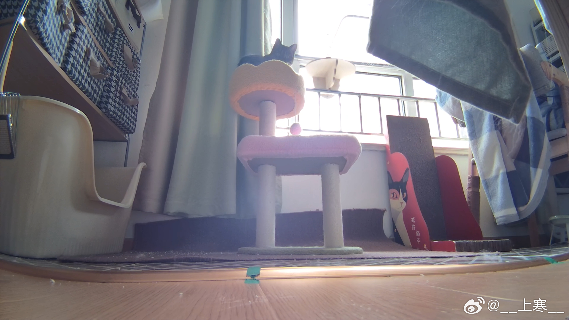 王！不！见！王！