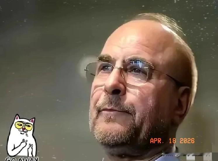 伊朗这步棋，真让人脊背发凉！

美以联军攻打了40多天，损失惨重如今，伊朗向沙特